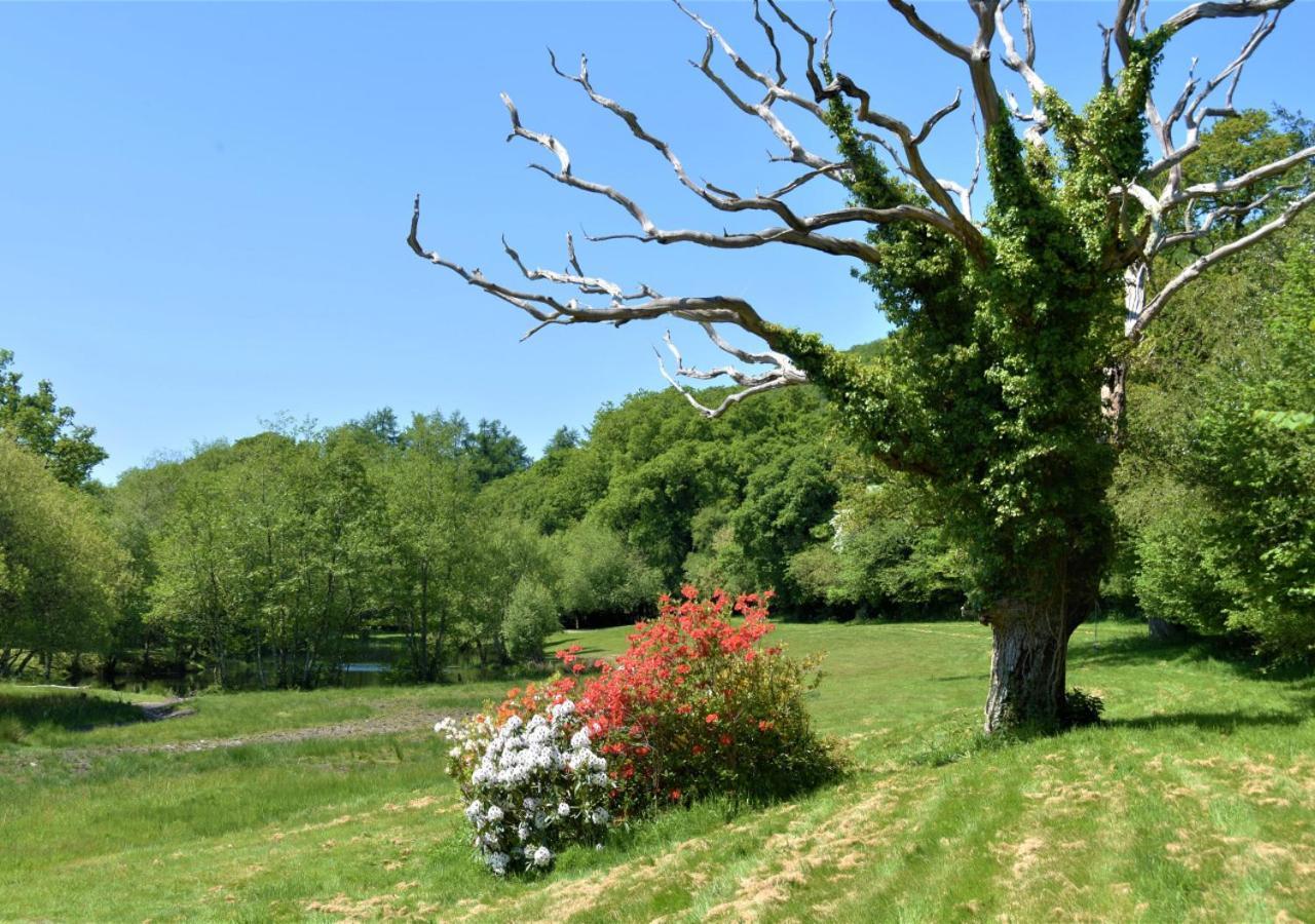 River Lodge - Cornwall Cardinham エクステリア 写真