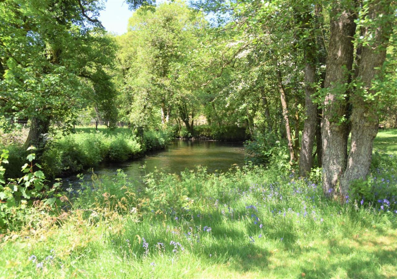 River Lodge - Cornwall Cardinham エクステリア 写真