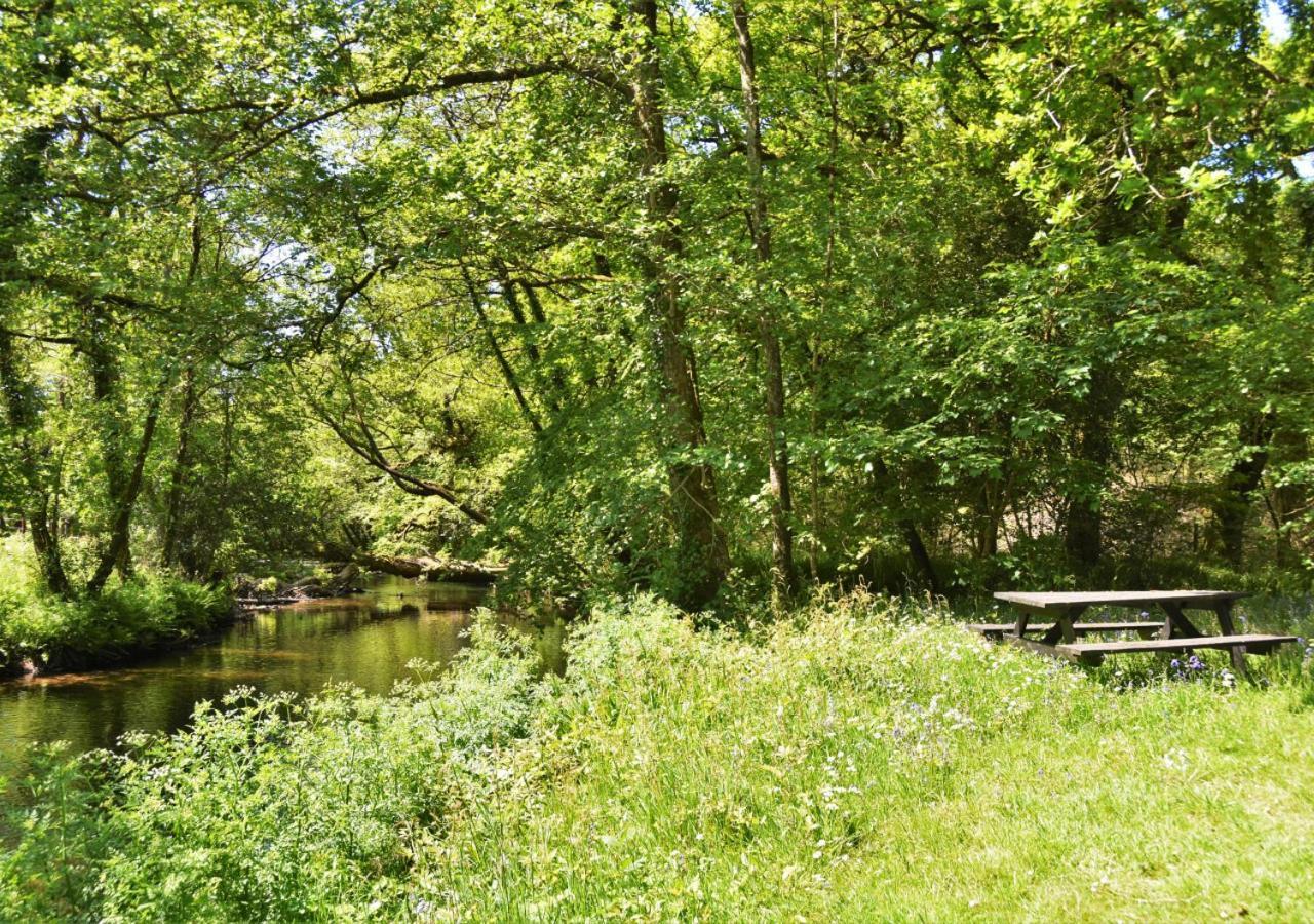 River Lodge - Cornwall Cardinham エクステリア 写真
